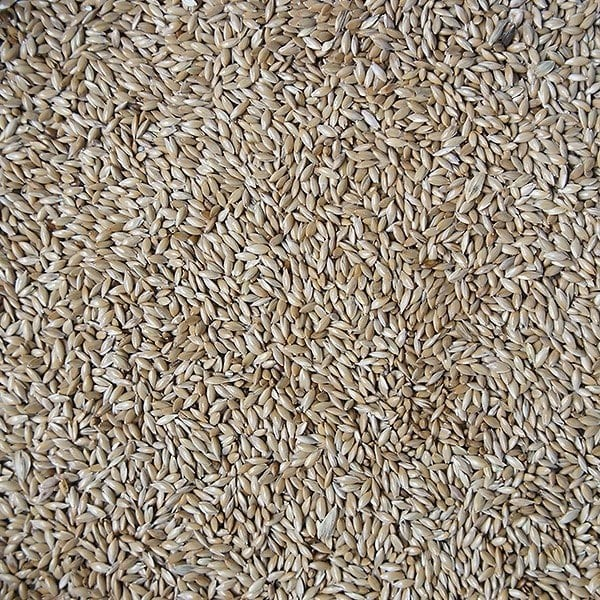 Versele Laga Seminte de falaris pentru pasari de colivie -1kg [2]