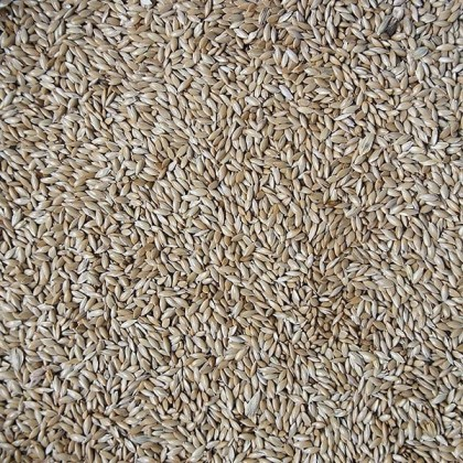 Versele Laga Seminte de falaris pentru pasari de colivie -1kg [1]