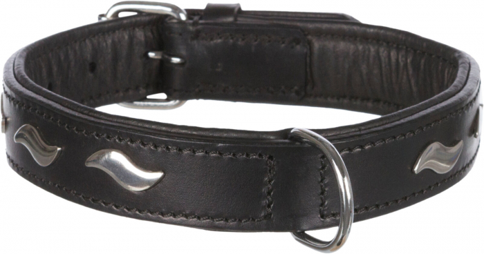 Trixie Zgarda  caini Piele, Active, L: 48-56 cm / 30 mm, Negru, [2]