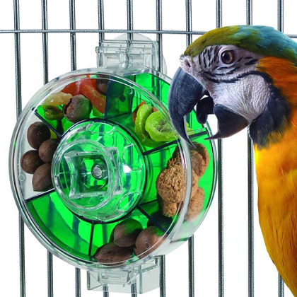 Caitec Jucarie papagali mari -Roata de furajare Generația II Foraging Wheel