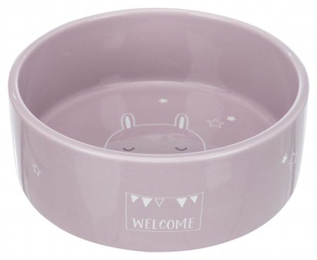 Accesorii caini - Castron Ceramic Junior, Pentru Caini, 0.8 l/16 cm, Diverse Culori, 25127
