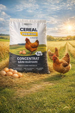 Concentrat găini ouătoare Cereal Premium 5kg – nutriție echilibrată pentru ouă de calitate
