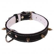 Accesorii caini - Exotic-K Zgarda Piele cu Colti Tip pentru caini-30 mm/65 cm
