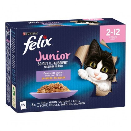 Felix junior plic 12X85g Hrană umedă pentru pisici junior