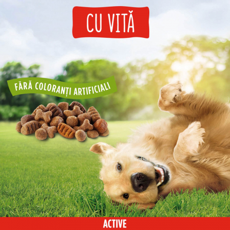 Friskies Active, Vită, hrană uscată pentru câini adulți 10 kg [2]