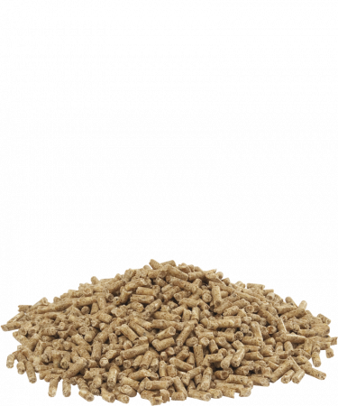 Furaj pentru rate crestere Duck 2 Versele-Laga20 kg [2]