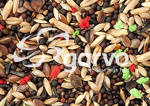 Garvo 5365-2kg, Hrana premium, cu vitamine,pentru canari [2]