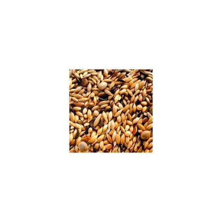 Garvo 5371-20kg,amestec seminte premium canari fara rapita [2]