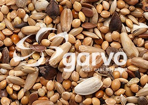 Garvo Agapornis- 20 kg Hrana premium seminte papagali medii [2]