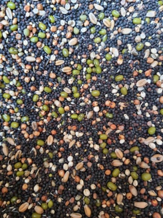 Garvo amestec semințe germinate pentru pasari exotice- 2kg vrac [1]