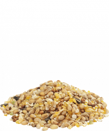 Gra-mix Hrana amestec taranesc pentru pasari de curte Versele Laga 20 kg [2]