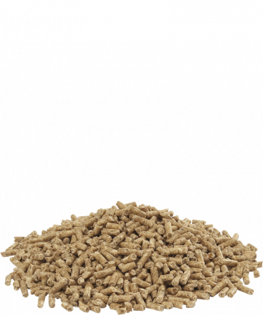 Hrana pentru pasari expozitie Versele-Laga Show 3 Pellet-20 kg [2]