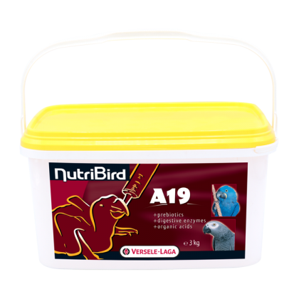 Hrana uscata - Hrana pentru pasari mici, Nutribird A19 , Versele laga , 3kg