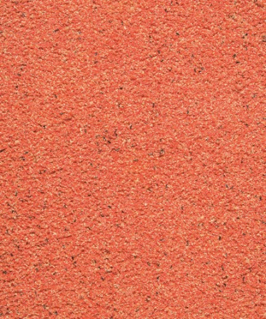Hrana umeda - Hrana umeda canari pe baza de ou patee Red, 1 kg