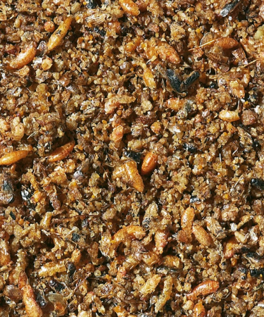 Hrana umeda Insect Patee , Orlux, Versele Laga ,200g vrac [2]