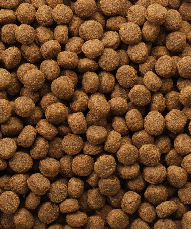Hrana uscata pentru caini juniori Versele Laga Classic, Puppy, 10 kg [2]