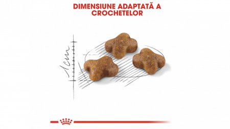 Hrana uscata pisica junior Kitten Royal Canin 2 kg [2]