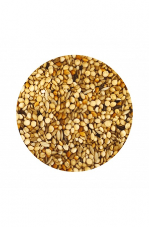 Irisz Pinty Hrana amestec seminte pentru cinteze si pasari exotice 1 kg [2]