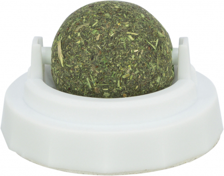 Pisici - Jucarie Pentru Pisici, Minge Catnip Cu Suport, 5 cm, 42242