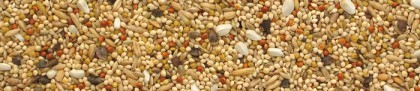 Manitoba Agapornis 1 kg Hrana completa papagali medii [2]