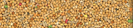 Manitoba Cocorite -4kg, hrana completa pentru perusi [2]