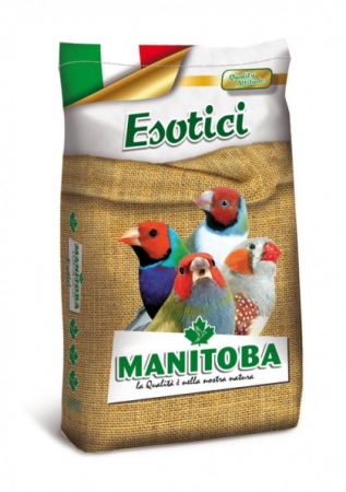 Hrana uscata - Manitoba Esotici-20 kg, amestec seminte pentru cinteze si pasari exotice