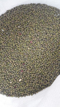 Manitoba Fasole Mung -1kg [1]