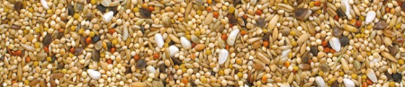 Manitoba Neophema- 20kg Hrana premium pentru papagalii neophema [2]