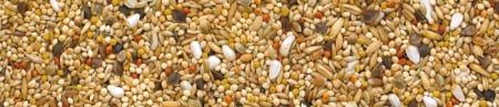 Manitoba Neophema- 3 kg Hrana premium pentru papagalii neophema [2]