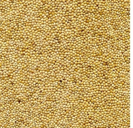 Mei alb Seminte pentru pasari exotice 1 kg [1]