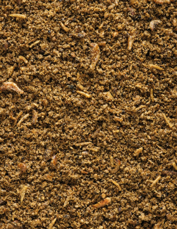 Orlux Insect Patee-1kg, hrana umeda pentru pasari tropicale [2]