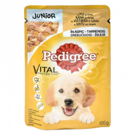 Pedigree, Junior-100g hrana umeda plic pentru catei [1]