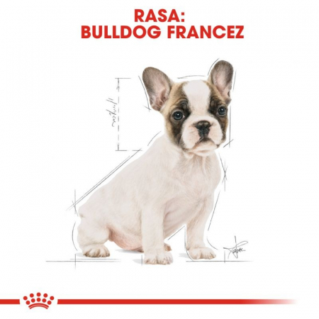 Royal Canin French Bulldog junior Hrana uscata caini 10 kg [2]