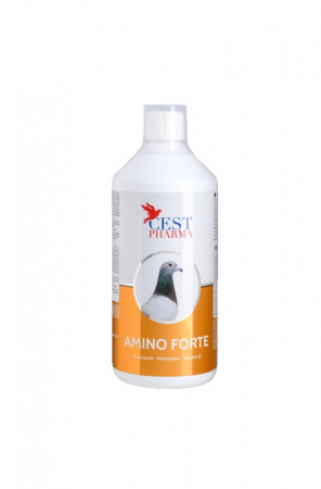 Supliment nutritiv pentru porumbei Amino Forte - 1000ml - Cest Pharma [1]