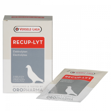 Supliment nutritiv pentru porumbei, Versele Laga Oropharma Recup-Lyt, 240 g [1]