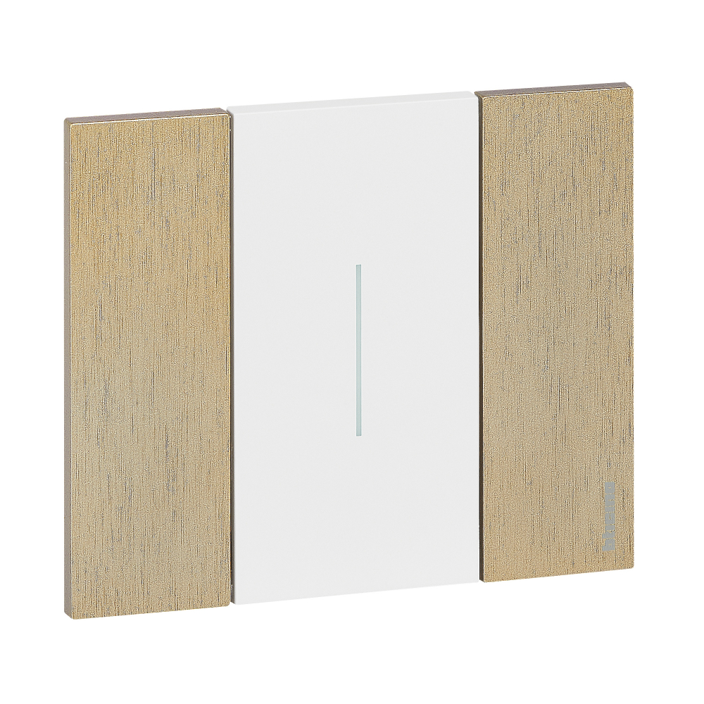 Rama ornament 2 module gama light-now culoare  AURIU [1]