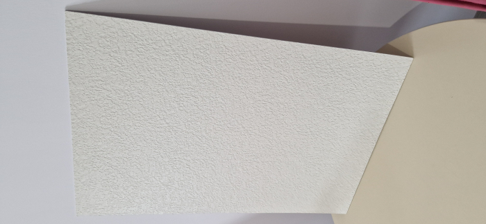 Placa Decorativa PVC-Embosata-Culoare Alb Murdar [2]