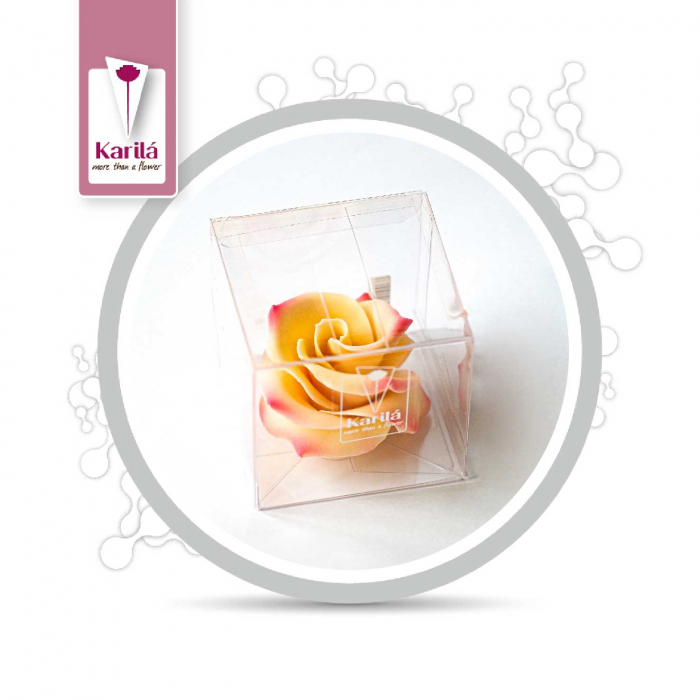 Trandafir de ciocolata alba Cristal, hand-made, 60g, Karilla Flowers [2]