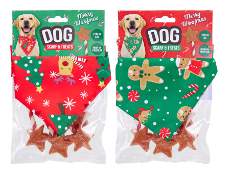 Cadouri pentru Câini și Pisici - Cadou de Crăciun pentru câini „Dog Scarf and Chicken Stars”, cu eșarfă festivă și recompense cu pui, 75 g