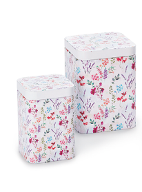 Accesorii pentru ceai si cafea - Cutie metalica “Elfie“, 100gr