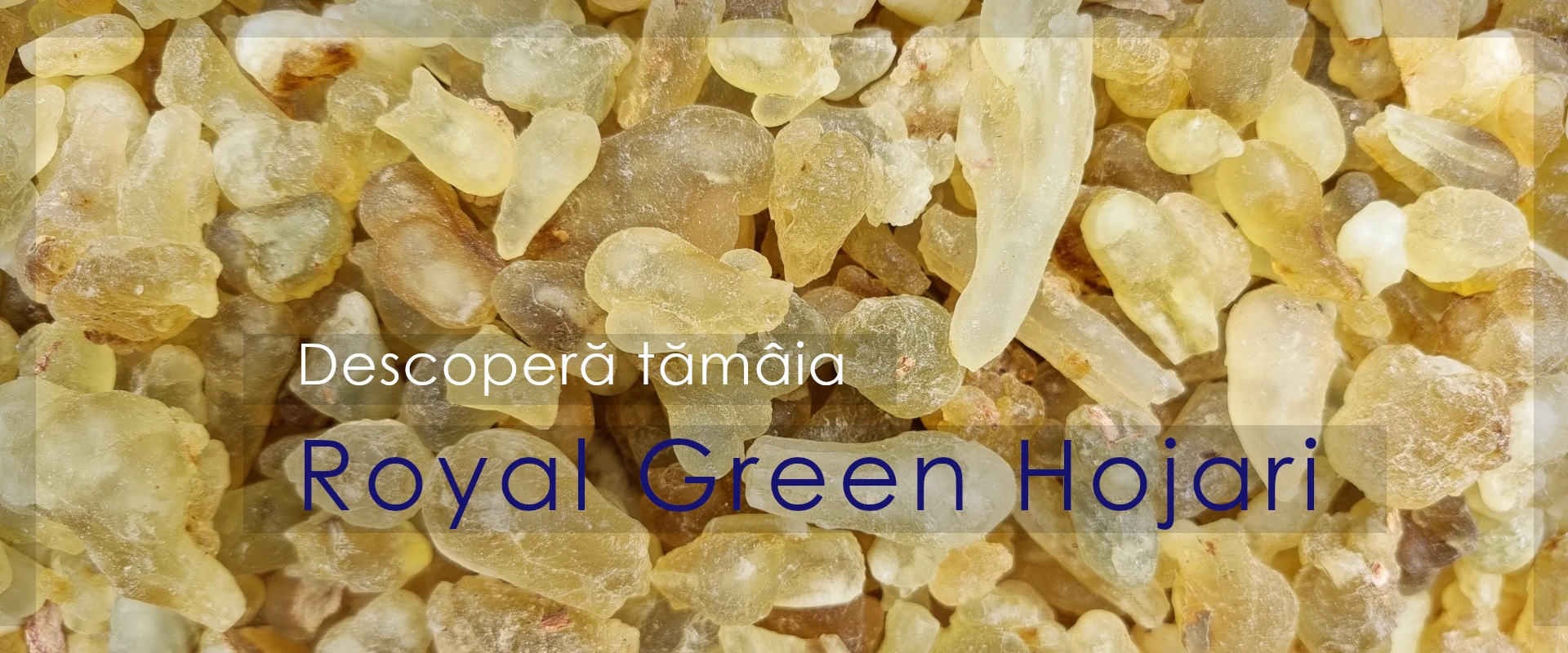 ritual-aromas-banner-tamaie-royal-green-hojari