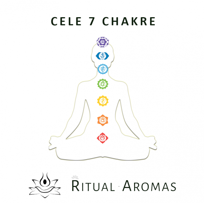 Bețișoare Chakra 5 - Vishudda [3]