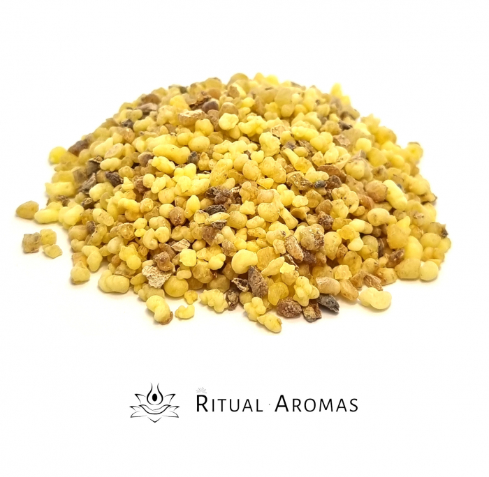 Rășină aromatică pentru fumigație Olibanum (Eritrea) [1]