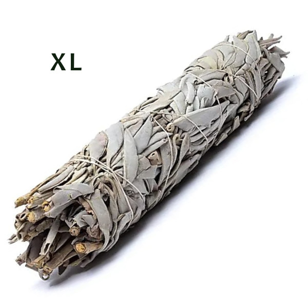 Salvie albă XL [1]
