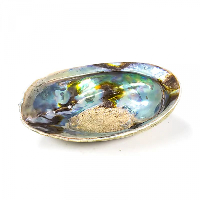 Scoică Abalone Rainbow 12.5-16.5 cm [1]