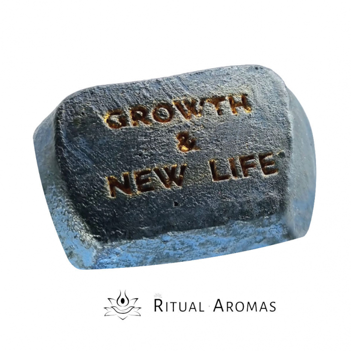 Suport ardere bețișoare - Growth & New Life [4]