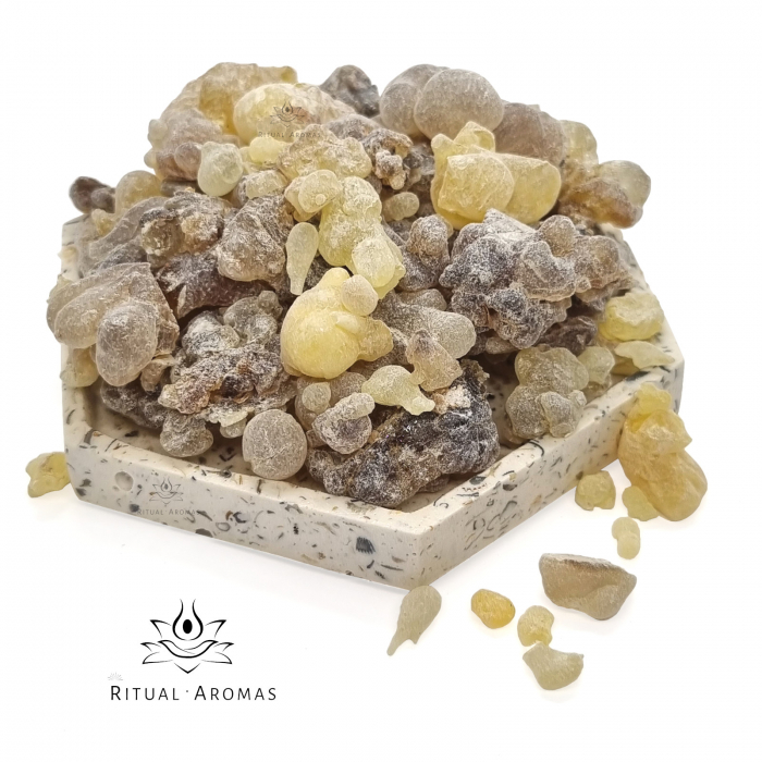 Tămâie Hojari (Boswellia Sacra), grad Mix, Oman [1]