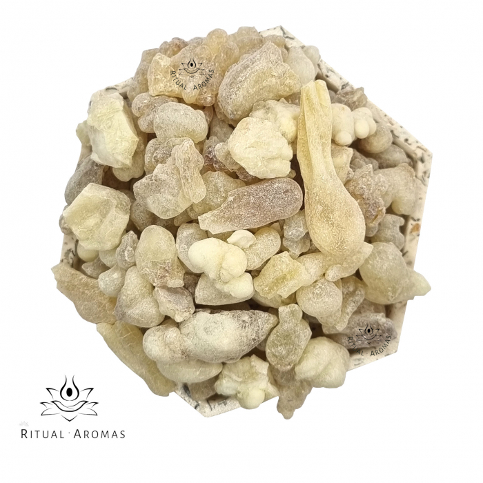 Tămâie albă Hojari (Boswellia Sacra) - Light amber, Oman [2]