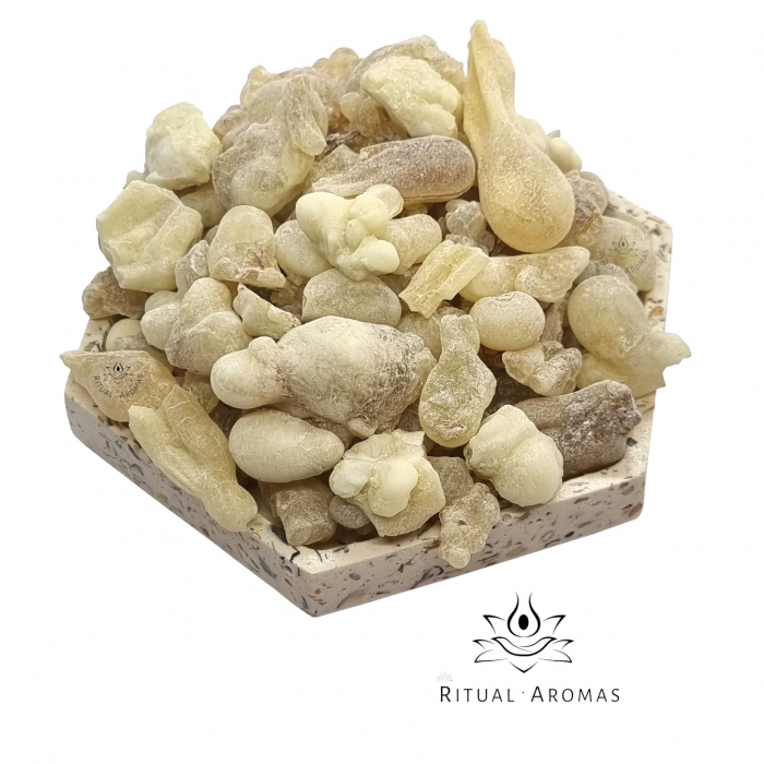 Tămâie albă Hojari (Boswellia Sacra) - Light amber, Oman [1]