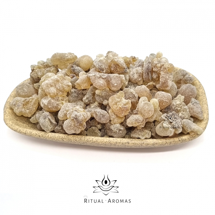 Tămâie maro Hojari (Boswellia Sacra), Oman [1]